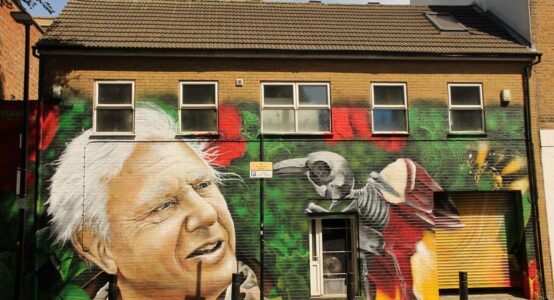 A mural of David Attenborough.